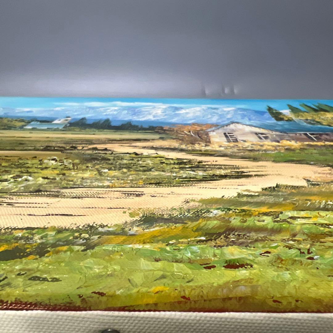 絵画　オーストラリア風景　吉岡貞夫　額縁付き