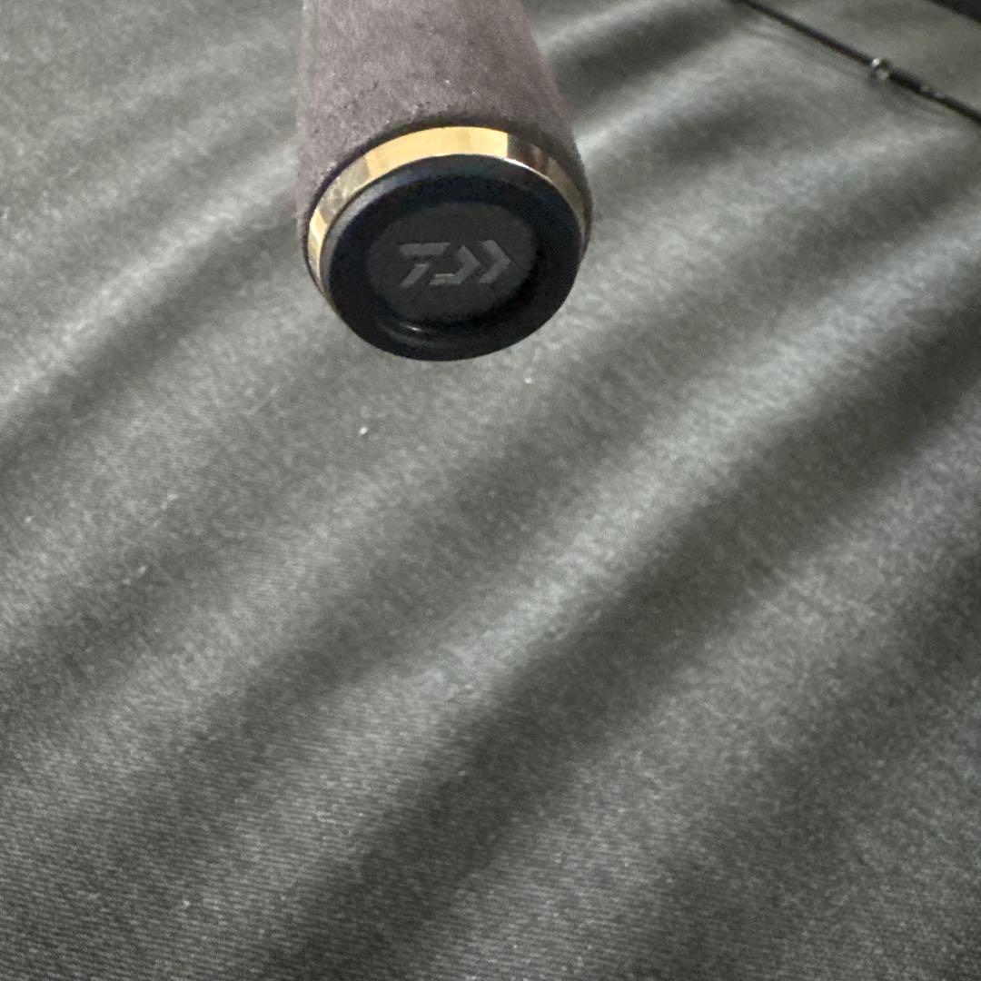 Daiwa ハートランド　別誂　冴掛　HL762LFS-SV10