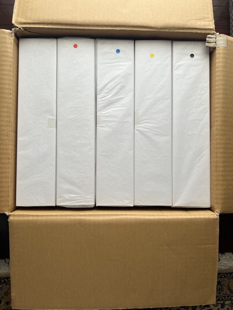 ★お値下げ★安室奈美恵 ドール５体セット 25周年の銀テ付き