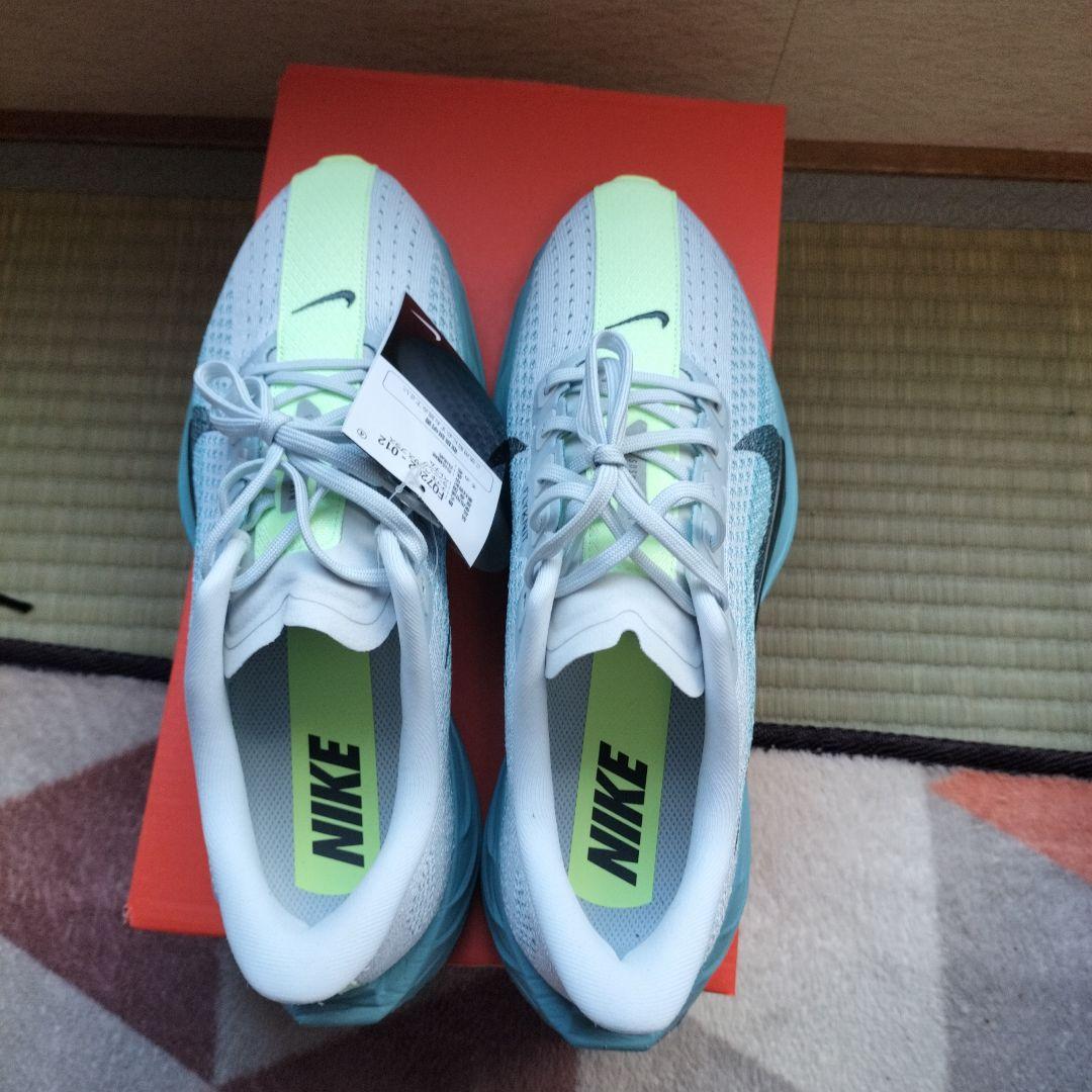 ペガサスプラス26.0cm