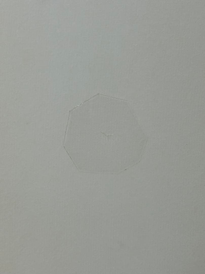 ジョイスティックjoistikCabsav2 キャベツEPS5'10 35.3ℓ