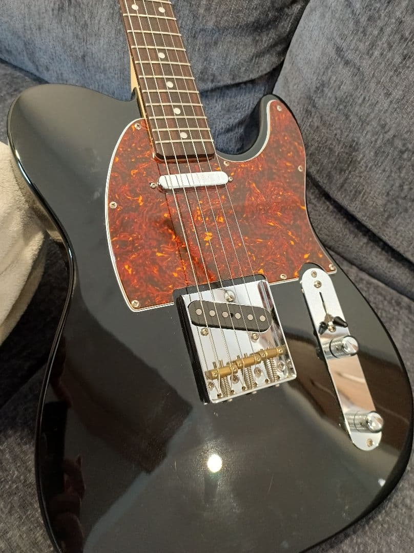 Bacchus Universal Series テレキャスタータイプ