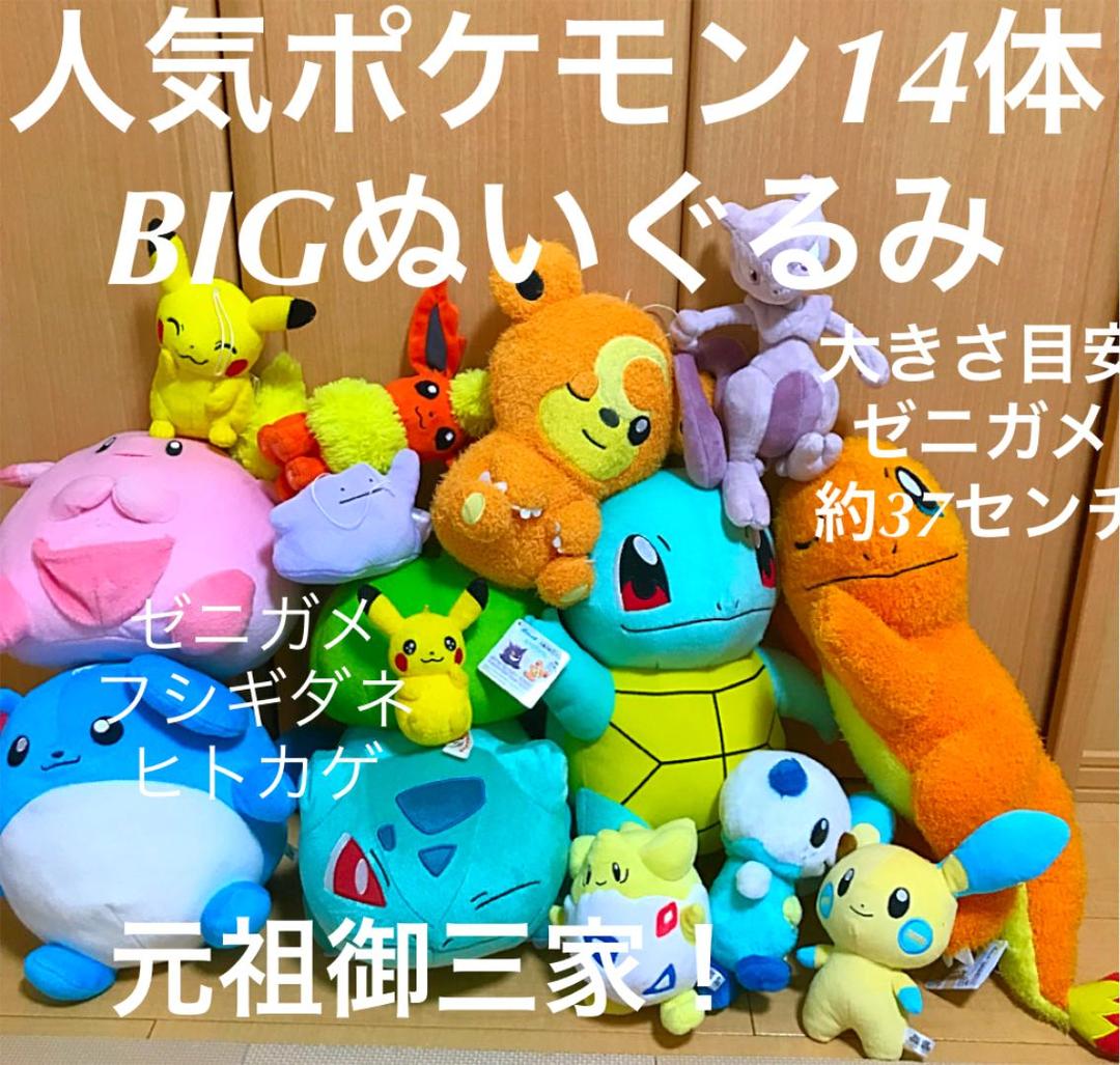 お得！人気　NINTENDOポケットモンスターぬいぐるみ大集合　お得14体セット