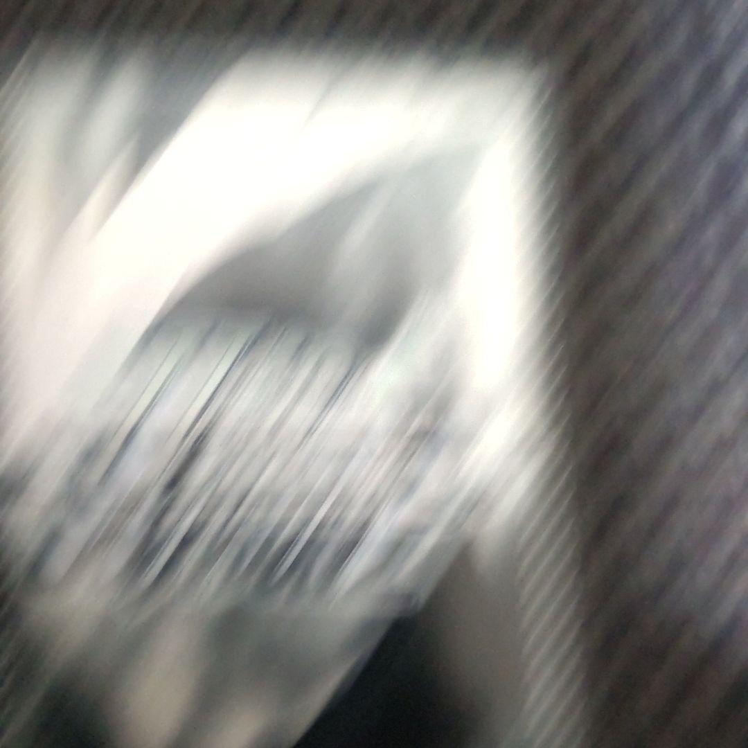 ヴァイスシュヴァルツ　狼と香辛料　豊穣を司る狼の化身 サイン入り　sp