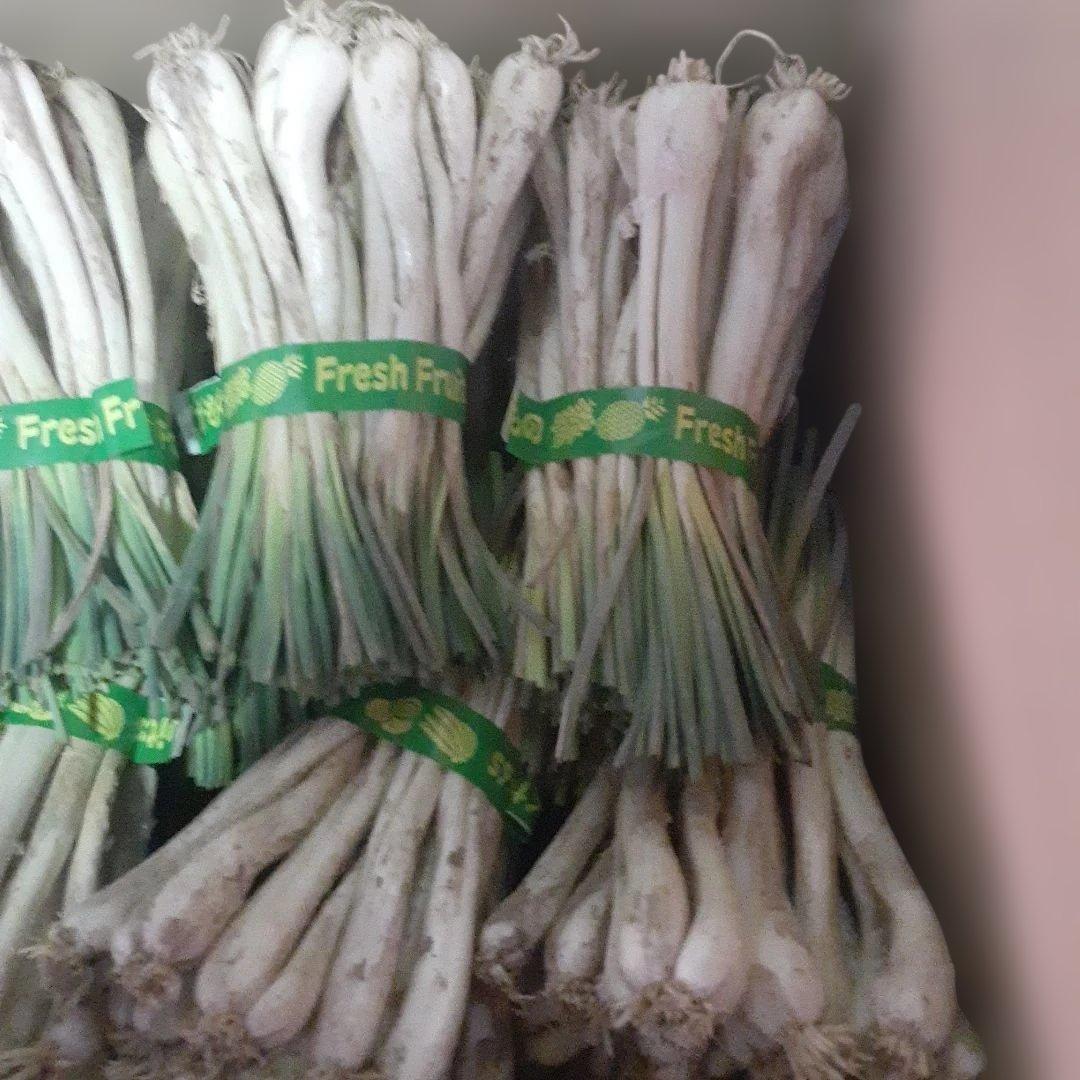 沖縄県産♪島らっきょう10㎏①