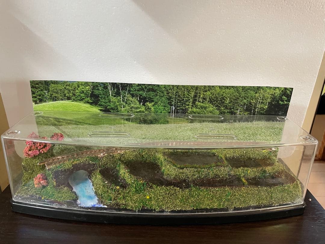 Nゲージ ジオラマ　つつじ咲く棚田の風景