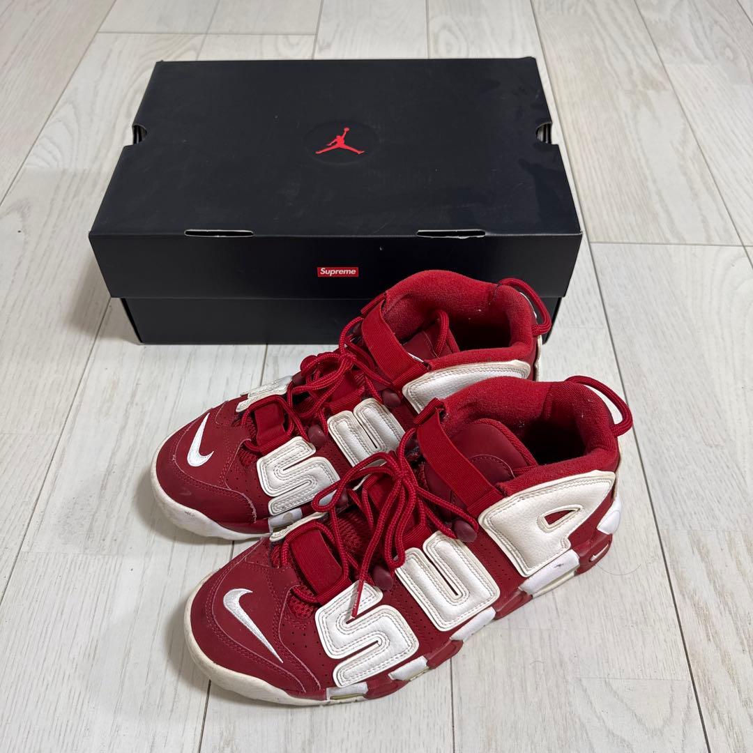 シュプテン　モアテン　27.5