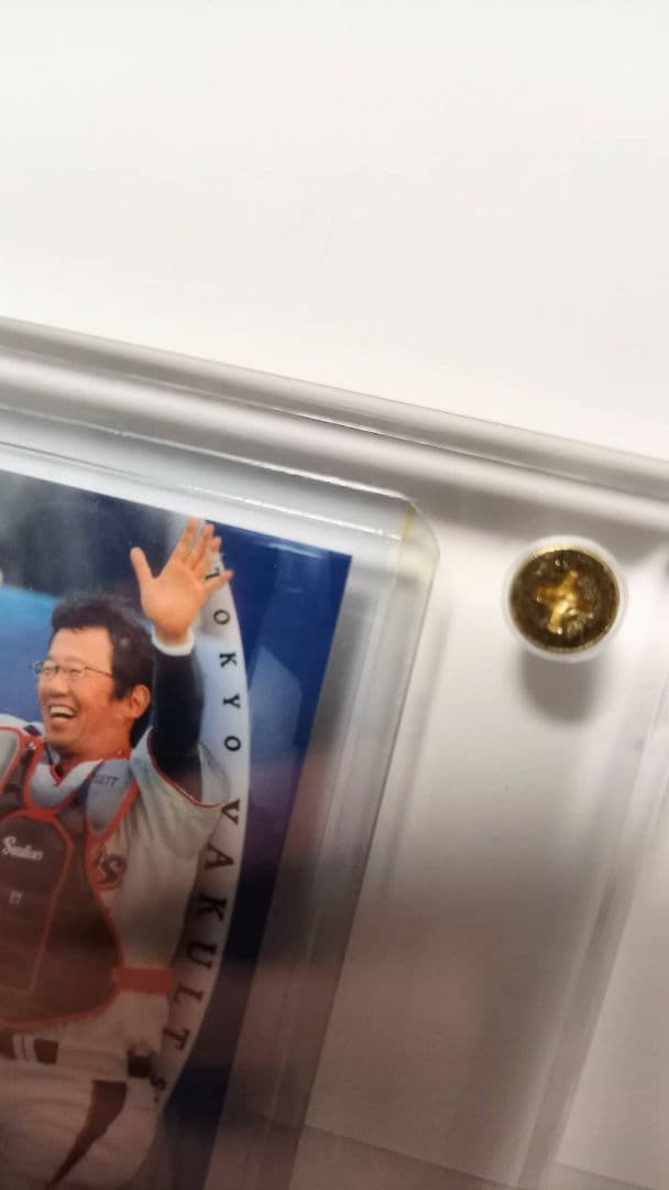 BBM 古田敦也　直筆サインカード