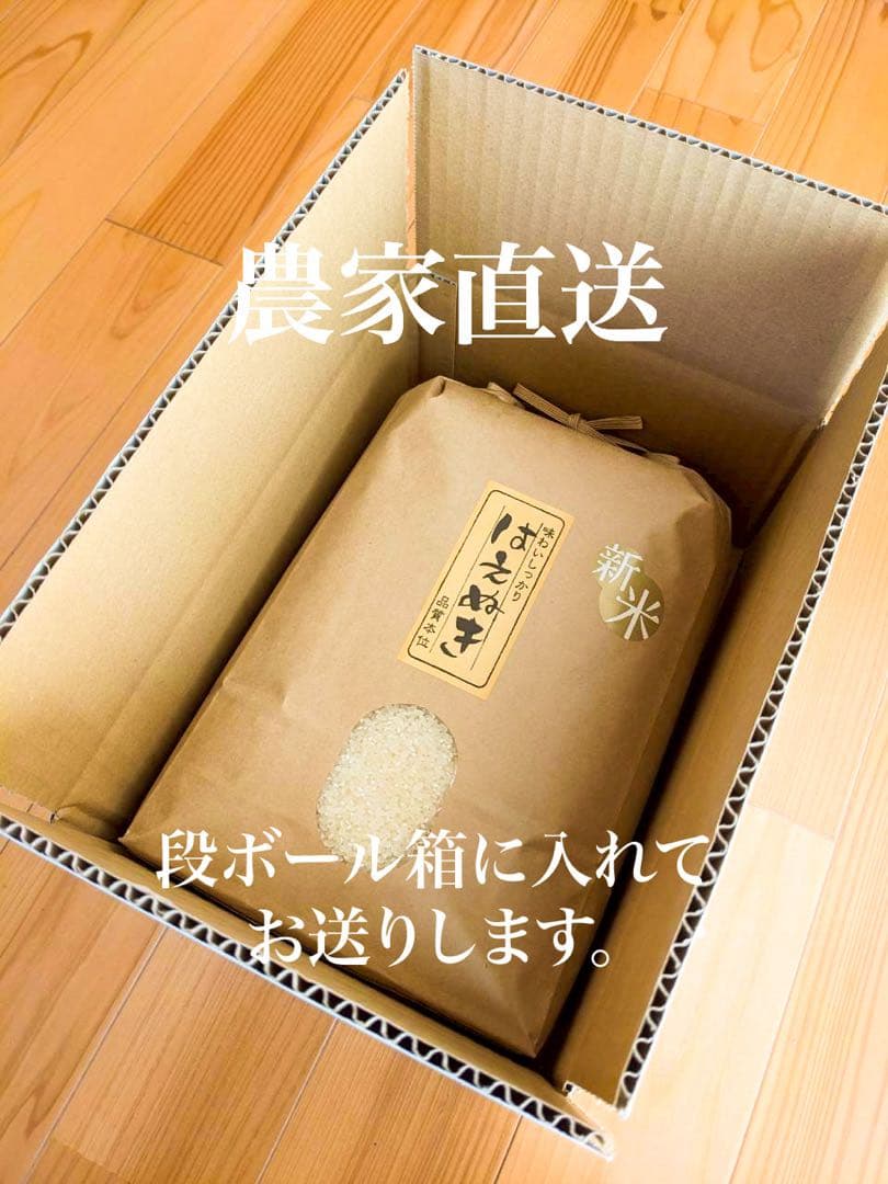 農家直送！令和７年産　雪若丸　山形県庄内産　白米１０ｋｇ