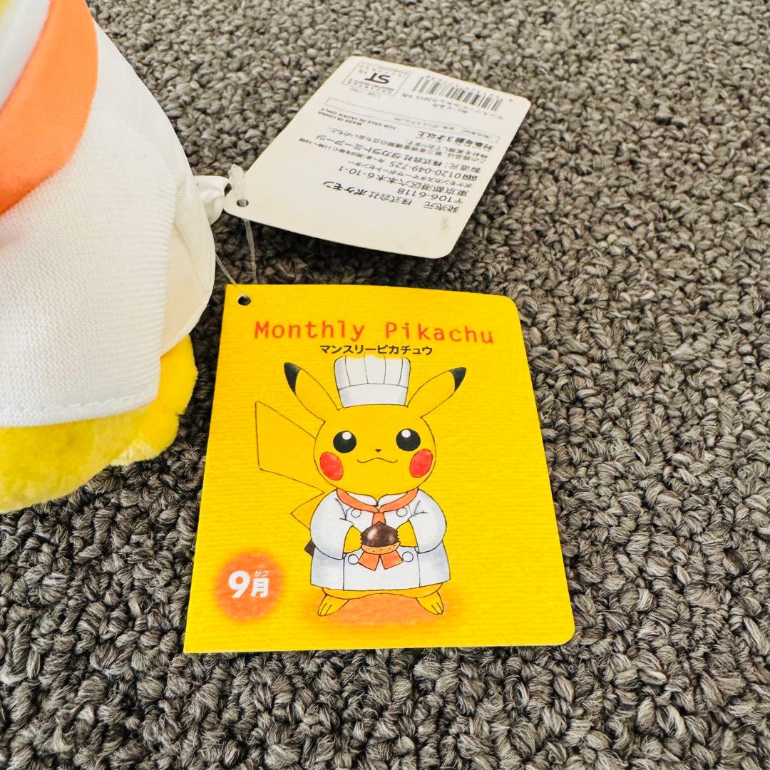 【タグ付•美品】マンスリーピカチュウ　ぬいぐるみ　2015年 9月