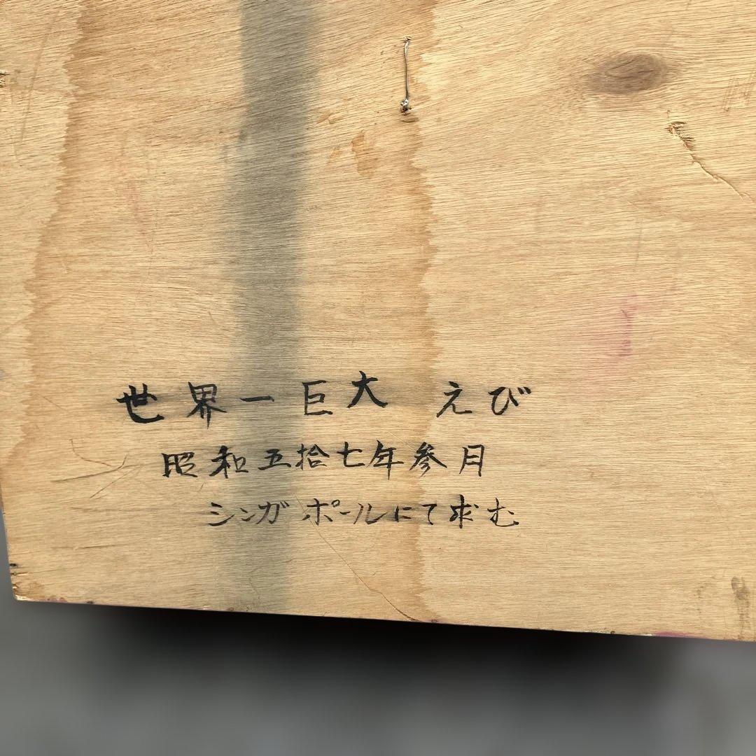 伊勢海老 エビ 剥製 ガラスケース 壁額 壁飾りロブスター標本 大型