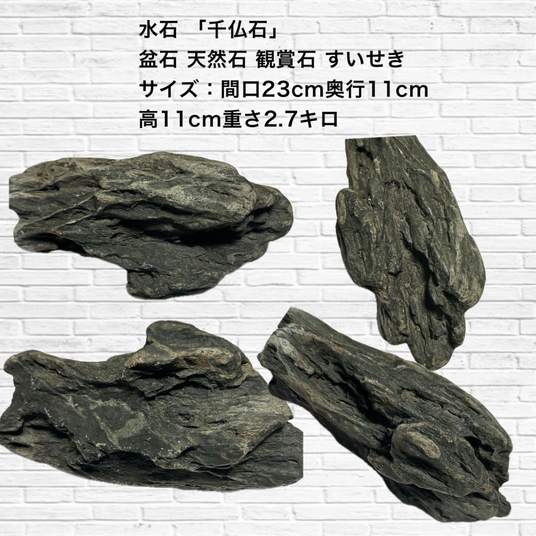水石「千仏石」 天然石 2.7キロ盆栽等の置石、水槽等レイアウト