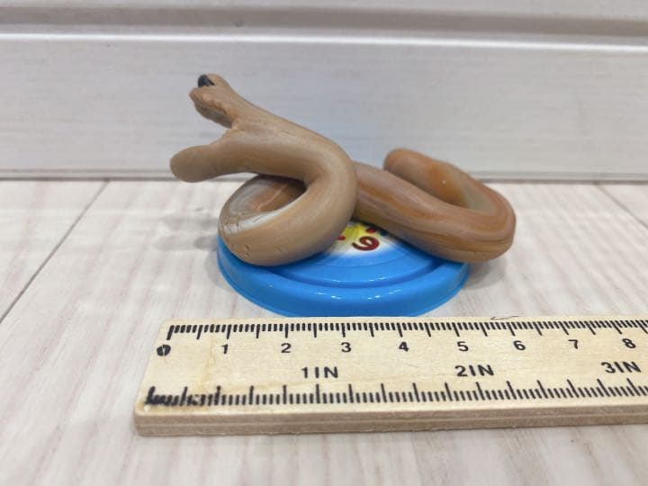 ヘビ　粘土　制作