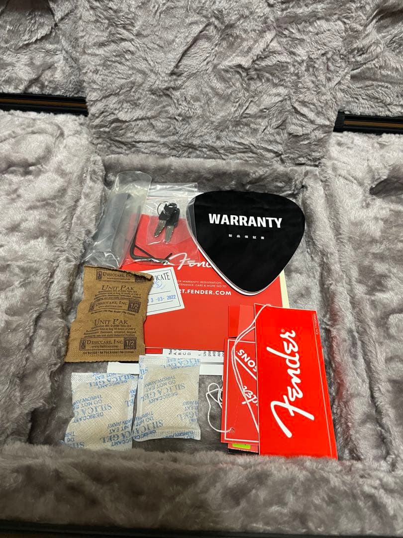 fender American professional ii テレキャスター