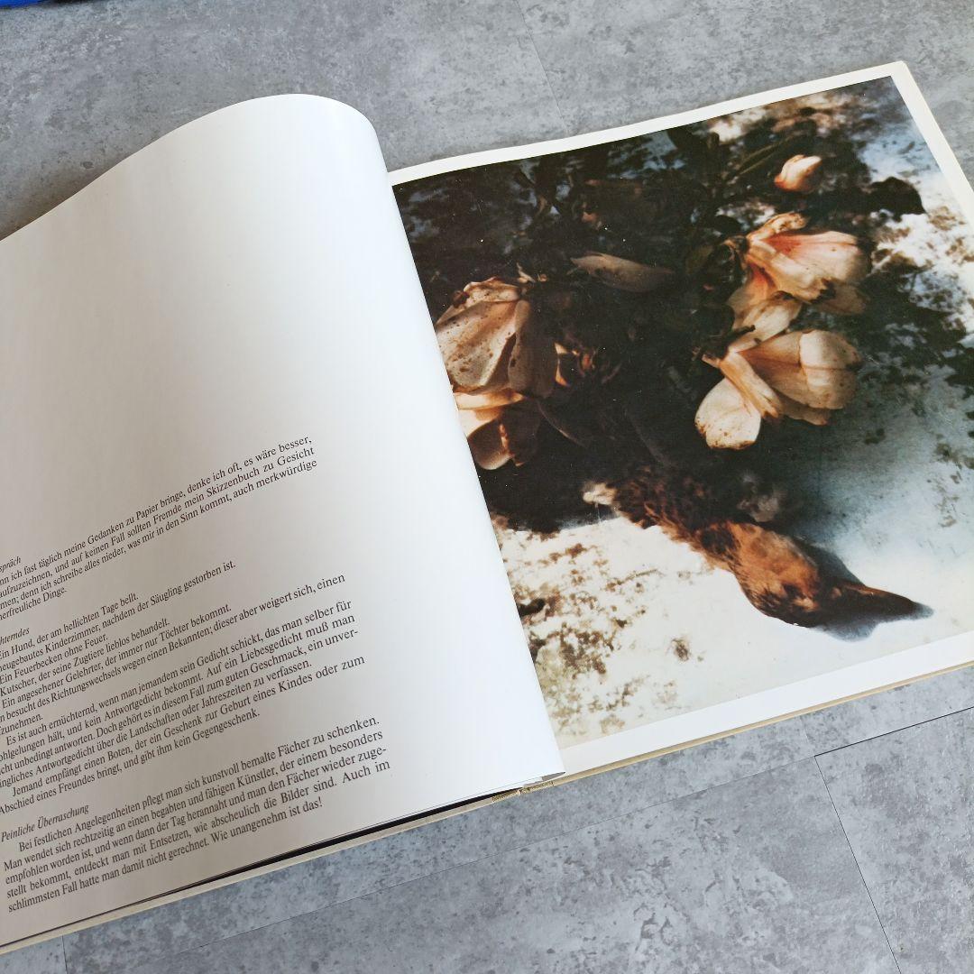 ホルスト　ヤンセン　写真　画集　アート　芸術　ヴィンテージ　レトロ　フィルム