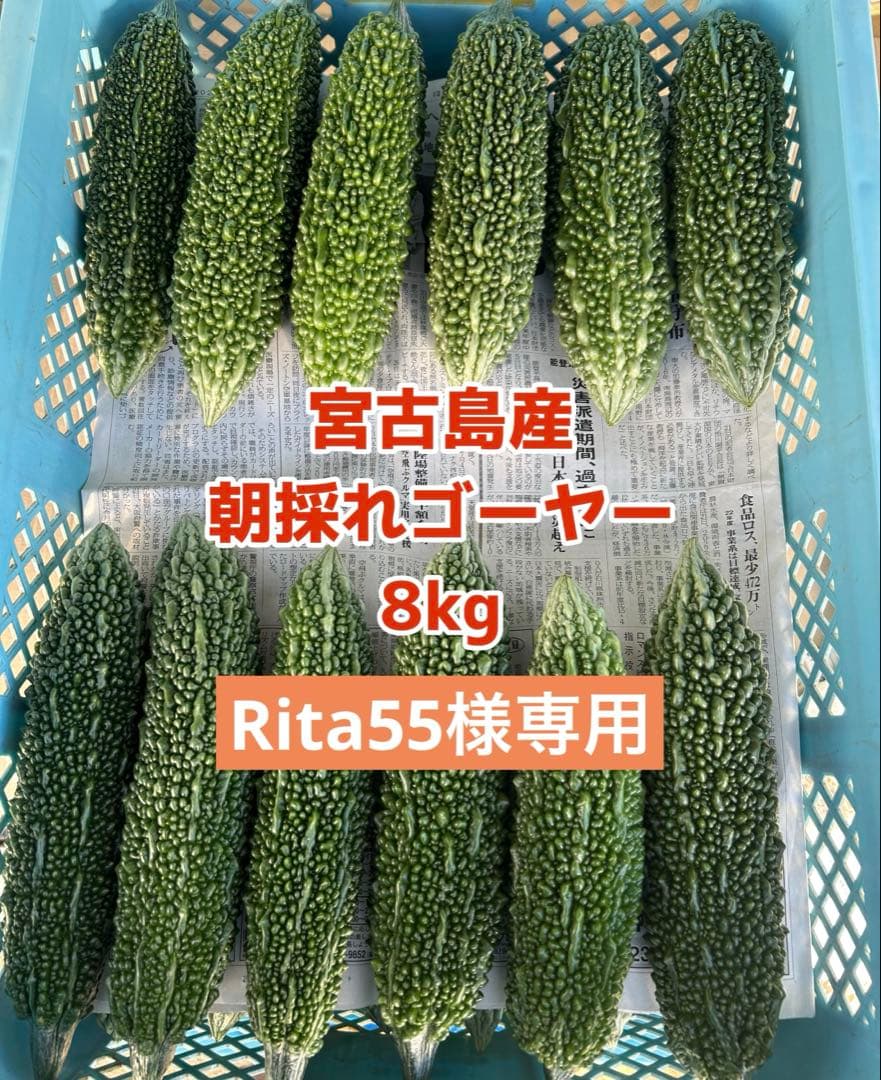 野菜 Rita55