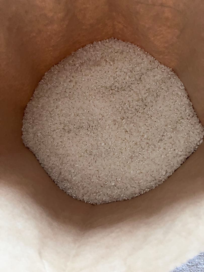 山梨県産　米１０kg 精米済み