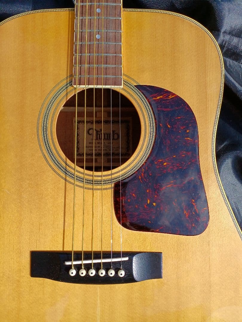 【送料込】サム　Thumb　寺田楽器　ギャラガーヘッド　整備済