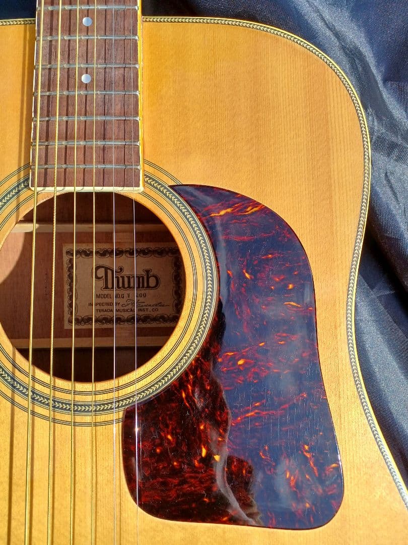 【送料込】サム　Thumb　寺田楽器　ギャラガーヘッド　整備済