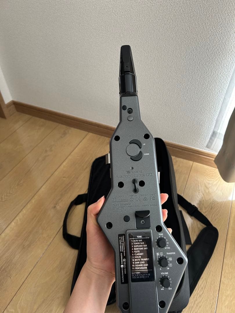 超美品早い者勝ち ローランドエアロフォン AE05