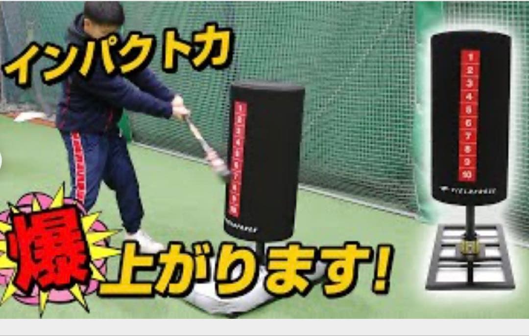 FIELD FORCE バッティング用サンドバッグ