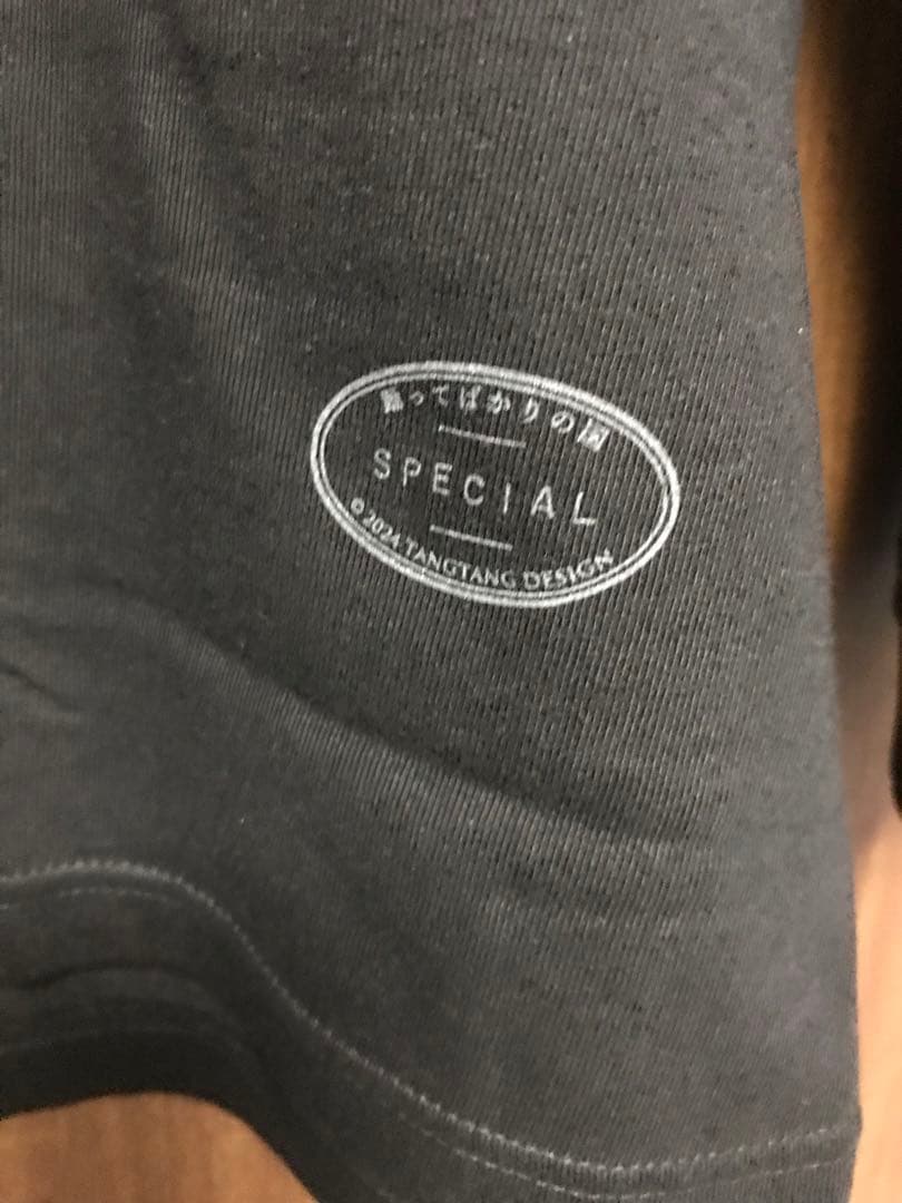 踊ってばかりの国　TANGTANG タンタン　Tシャツ　Lサイズ　未着用