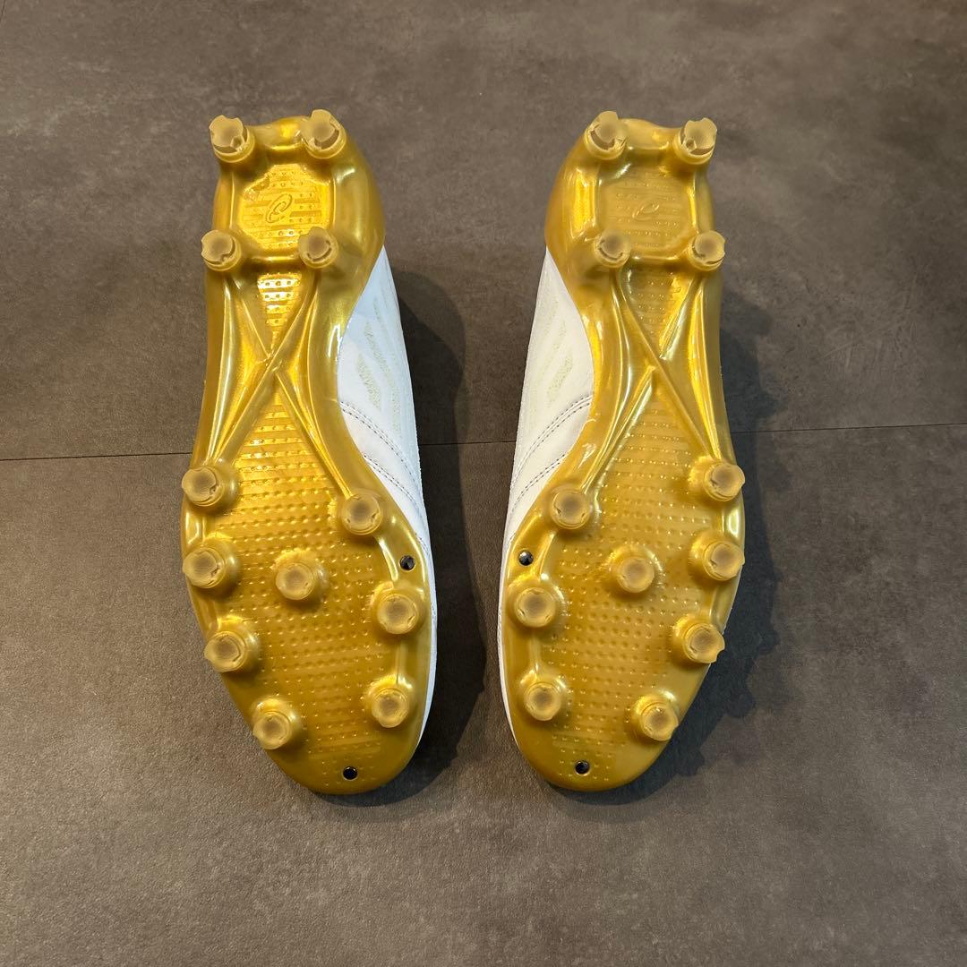 シューズ DS LIGHT X-FLY4