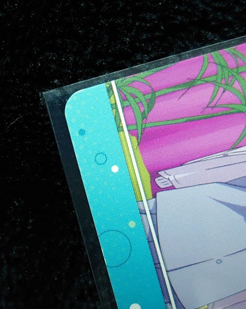 テニスの王子様 トレカ 書店の王子様 植物組