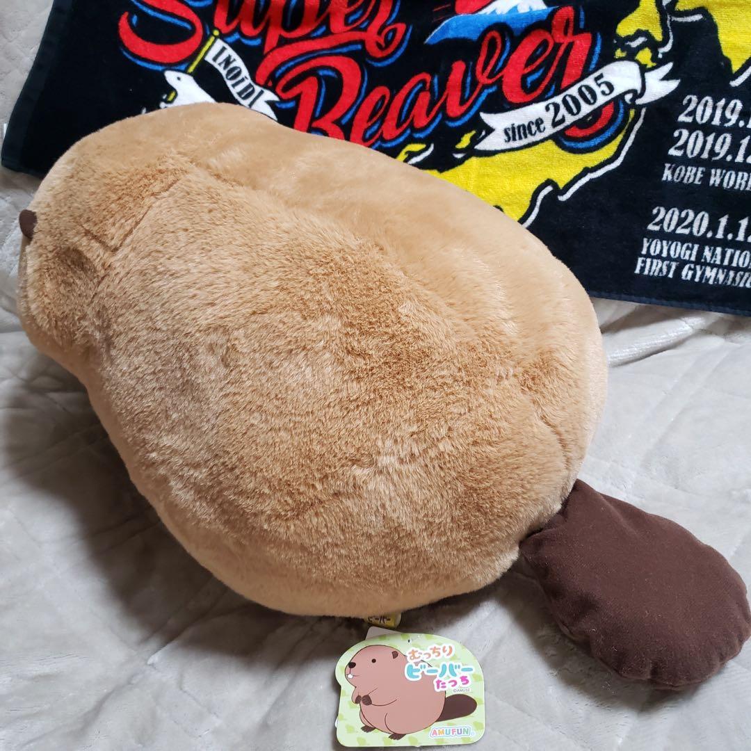 むっちりビーバーたっち ぬいぐるみ スーパー BIG 3個セット　バラ売り可