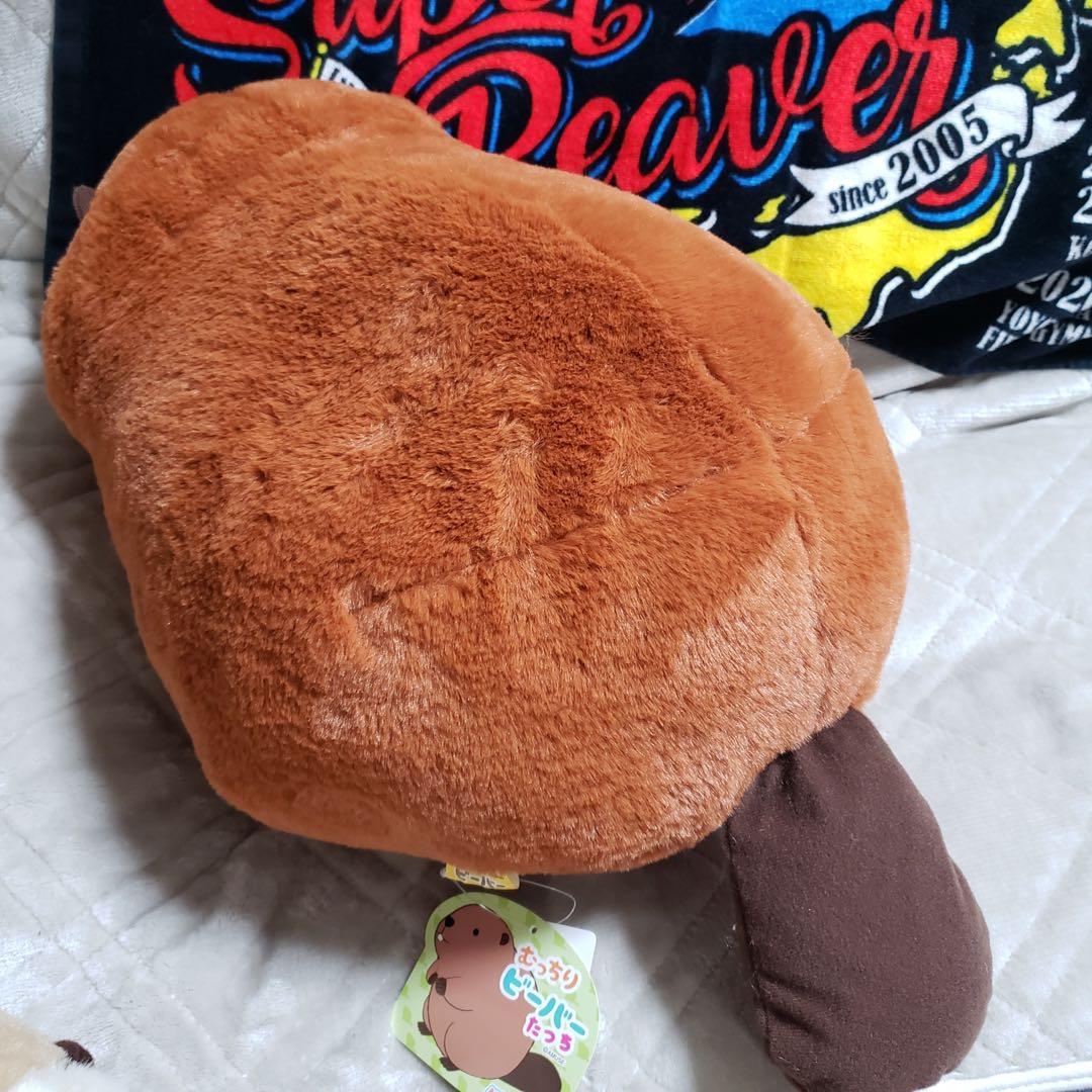 むっちりビーバーたっち ぬいぐるみ スーパー BIG 3個セット　バラ売り可