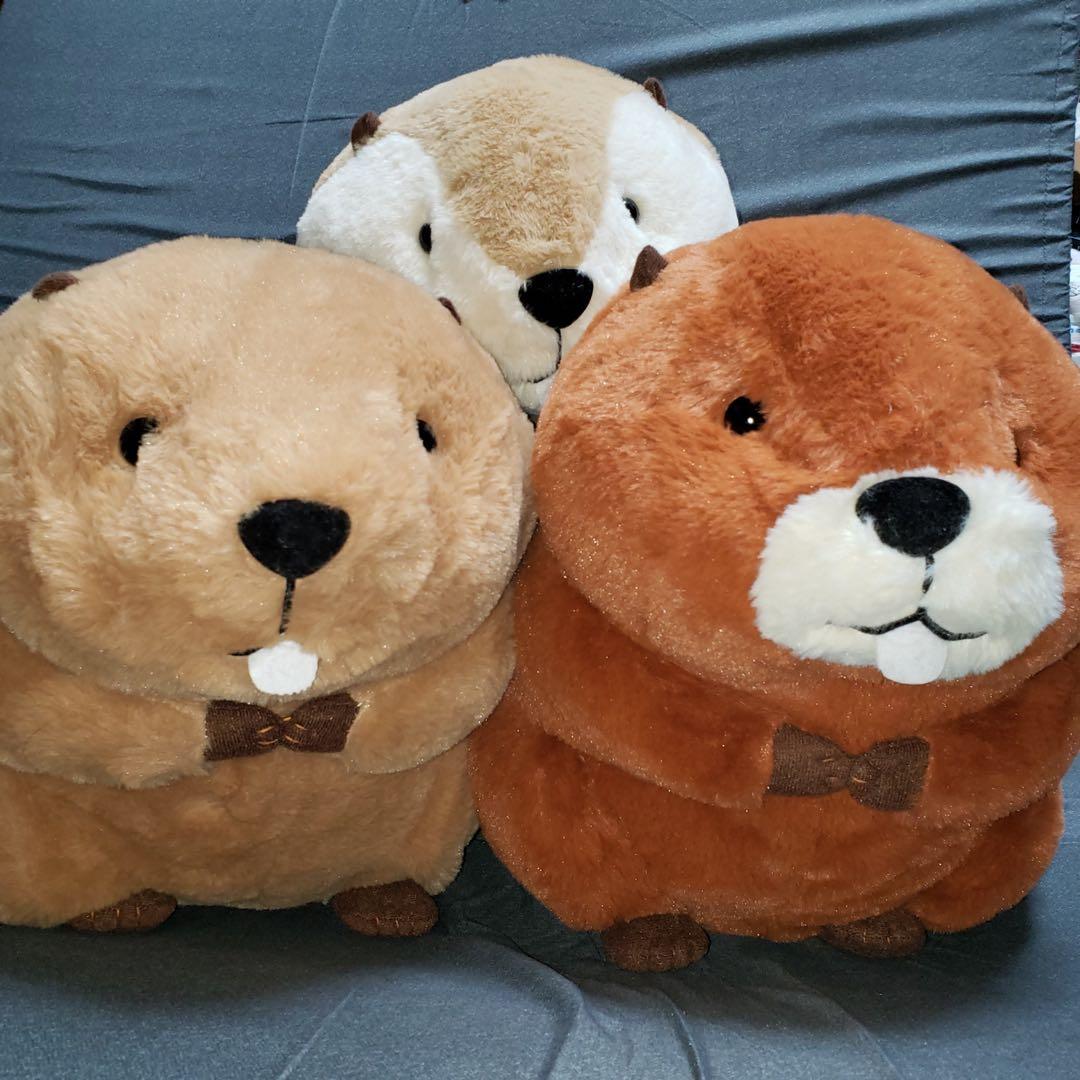 むっちりビーバーたっち ぬいぐるみ スーパー BIG 3個セット　バラ売り可