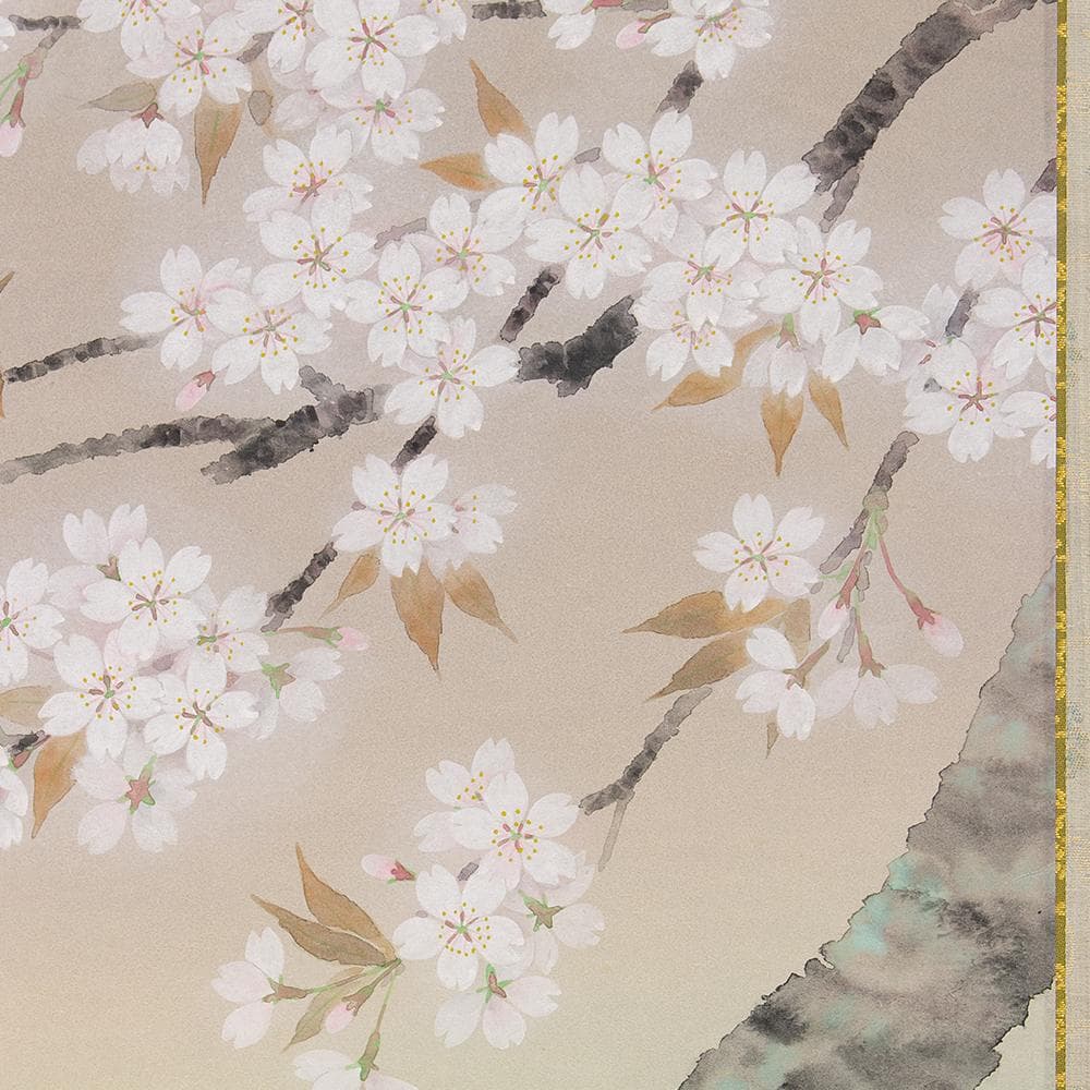 ※Tsutsuzi Sato　掛軸 横幅 水越由喜「桜」共箱