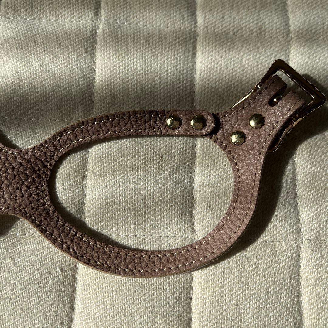 バディベルト3号 リード セット ラテ