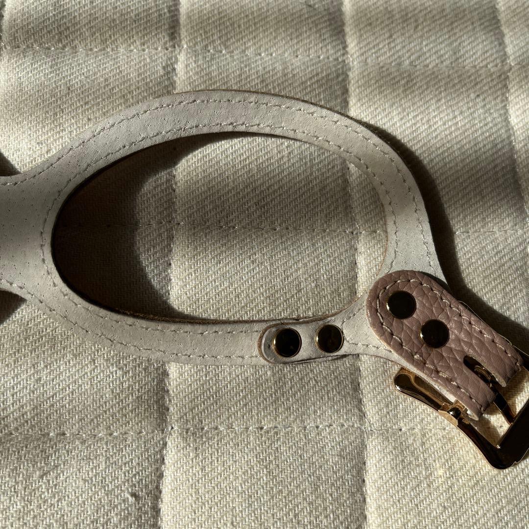 バディベルト3号 リード セット ラテ