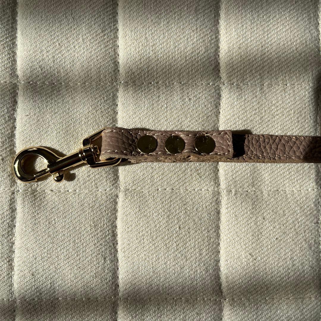 バディベルト3号 リード セット ラテ