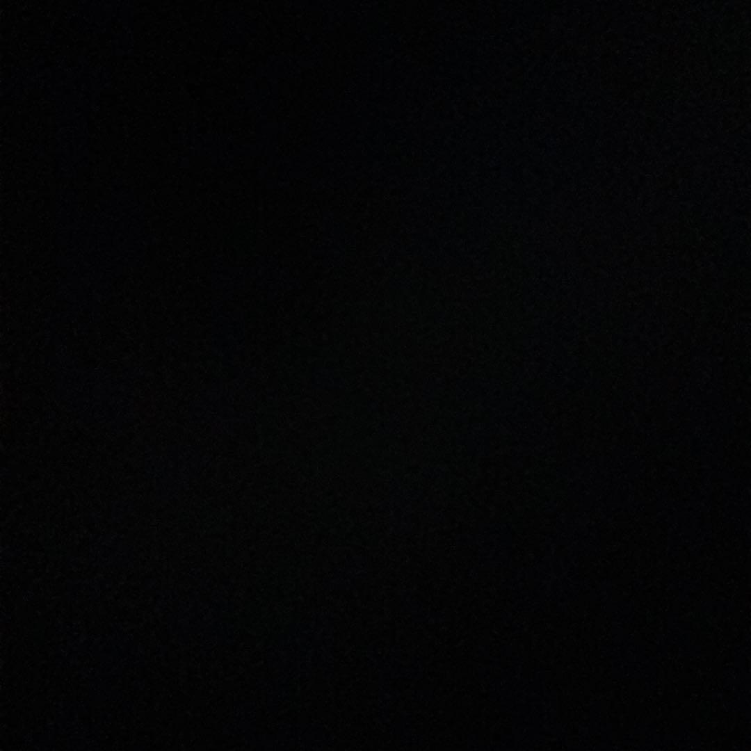 沖縄 琉球 木版画 儀間比呂志 つぼや 版画 希少