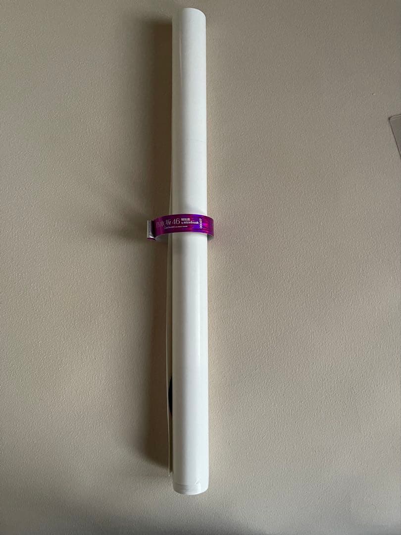 ポスター sizebook 乃木坂46 サイン 白石麻衣,西野七瀬,橋本奈々未