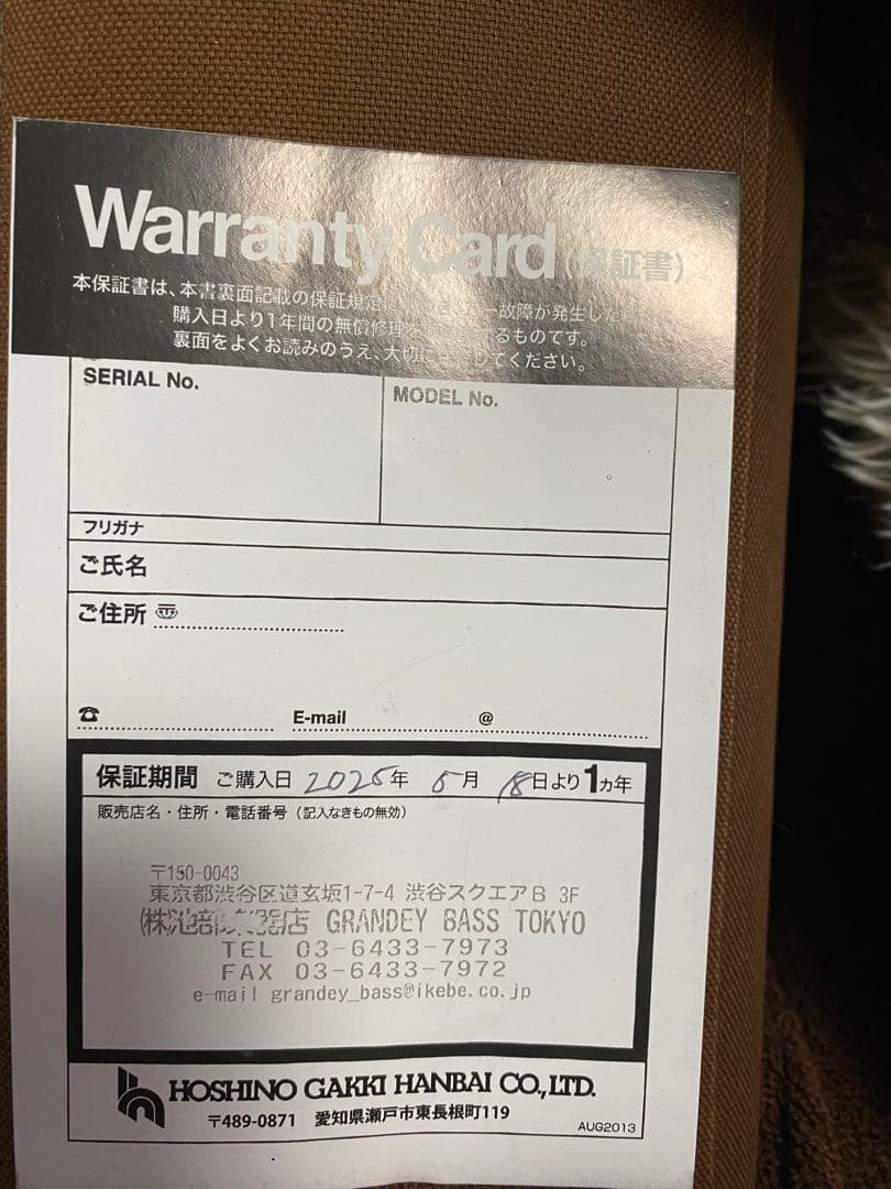 Ibanez アコースティックベース フレットレス　ケース付き