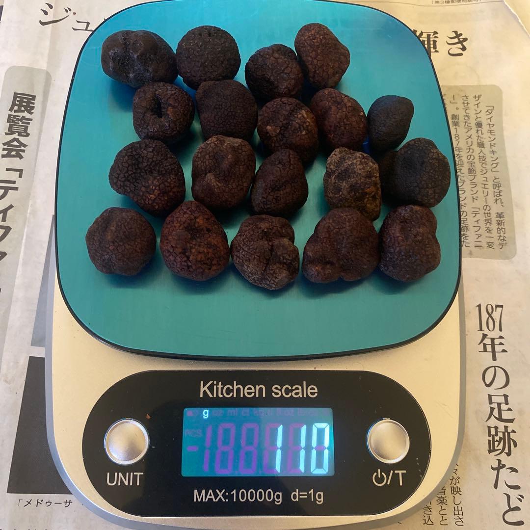 国産　山梨県産　天然黒トリュフ　特大　約110g