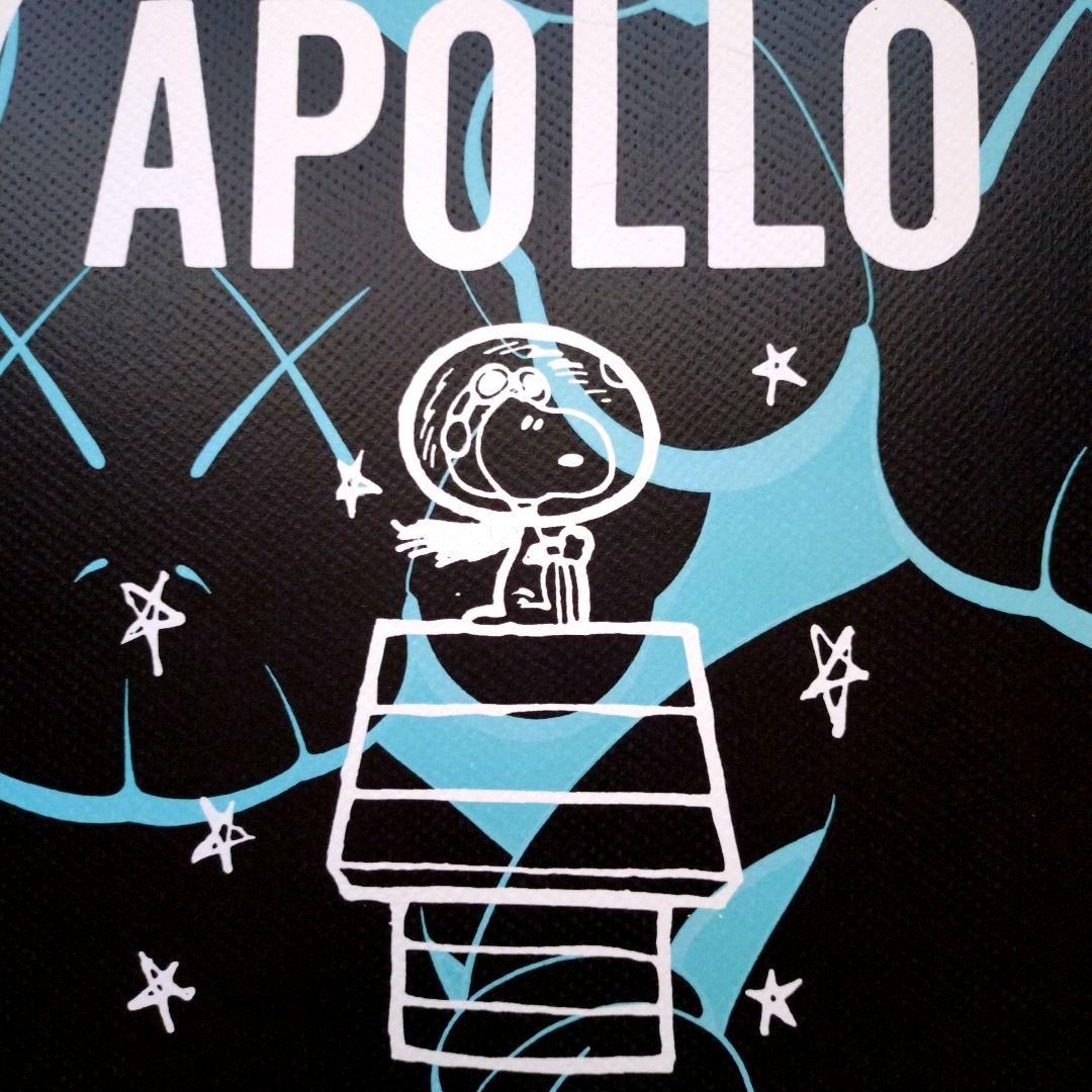 額装death nyc 世界限定100枚スヌーピーKAWS