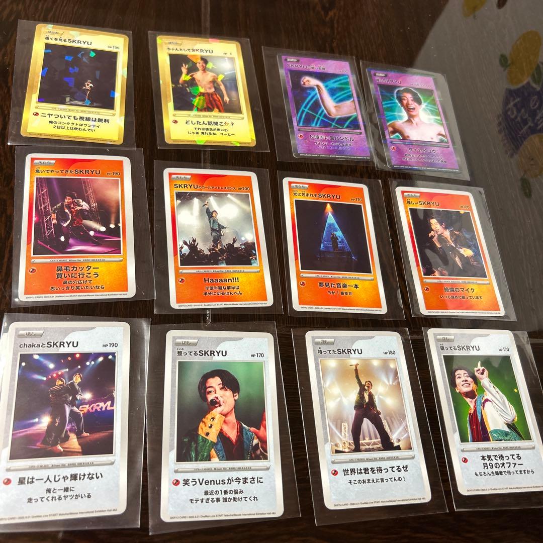 skryu SKRYU ハダカード 幕張メッセ