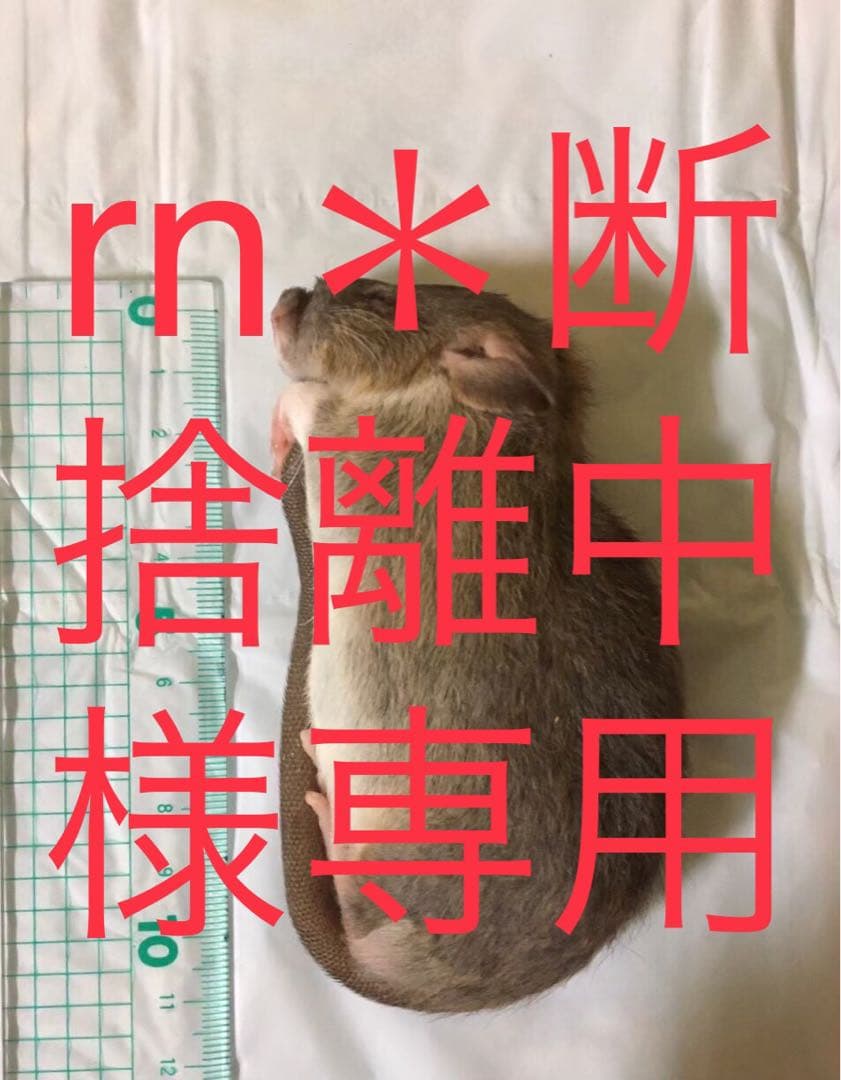 冷凍PL10 F10 H20 S10 SM10