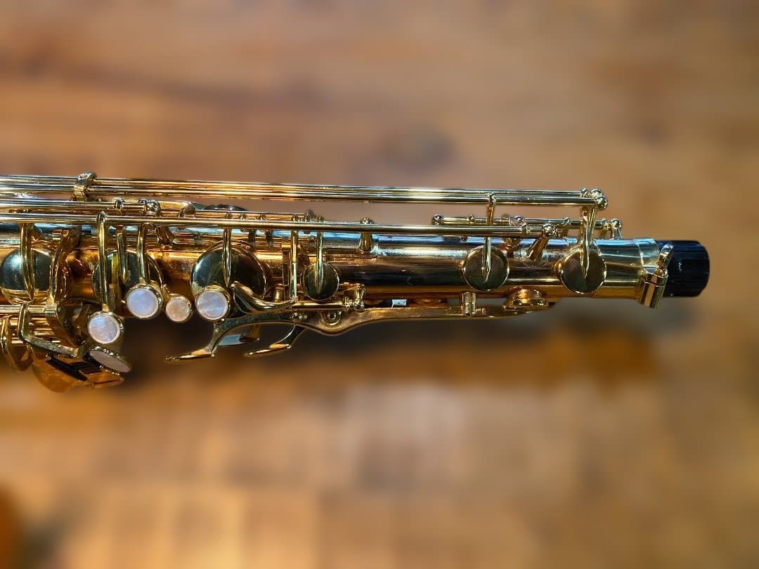 テナーサックス ヤナギサワ Yanagisawa T-WO20（ブロンズ）