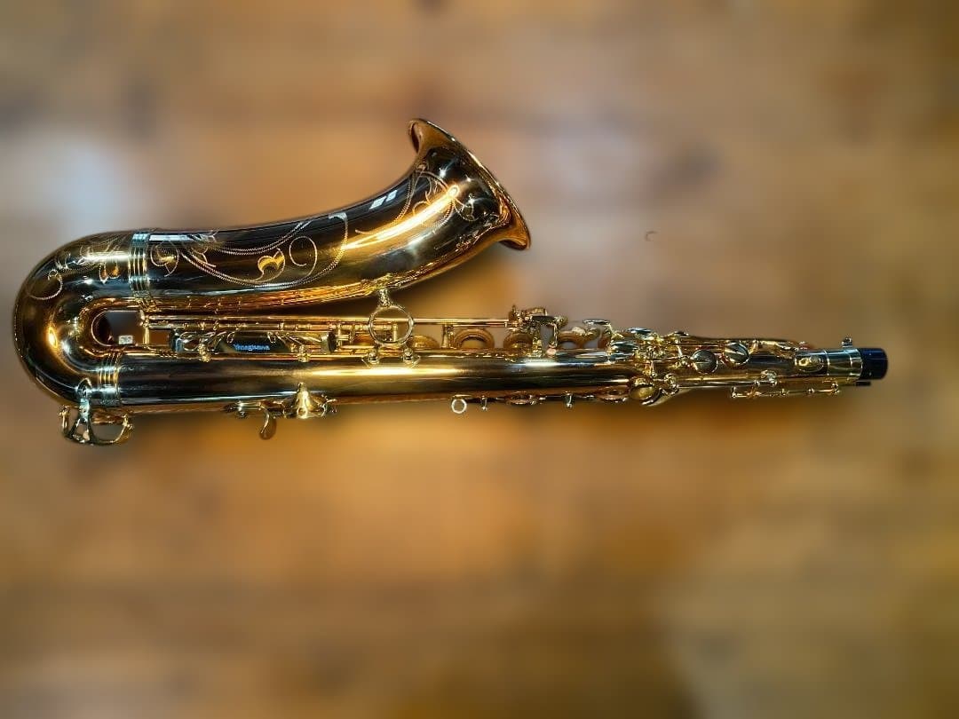 テナーサックス ヤナギサワ Yanagisawa T-WO20（ブロンズ）