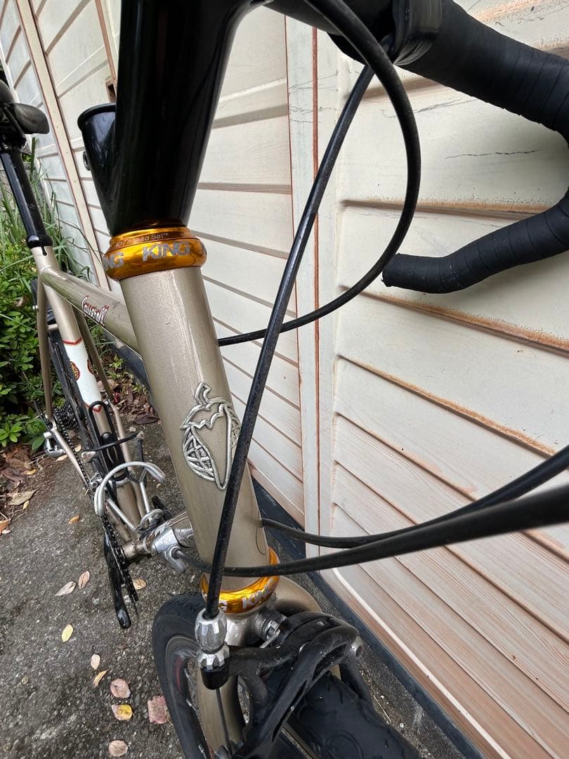 最終値下げ　Salsa Casseroll