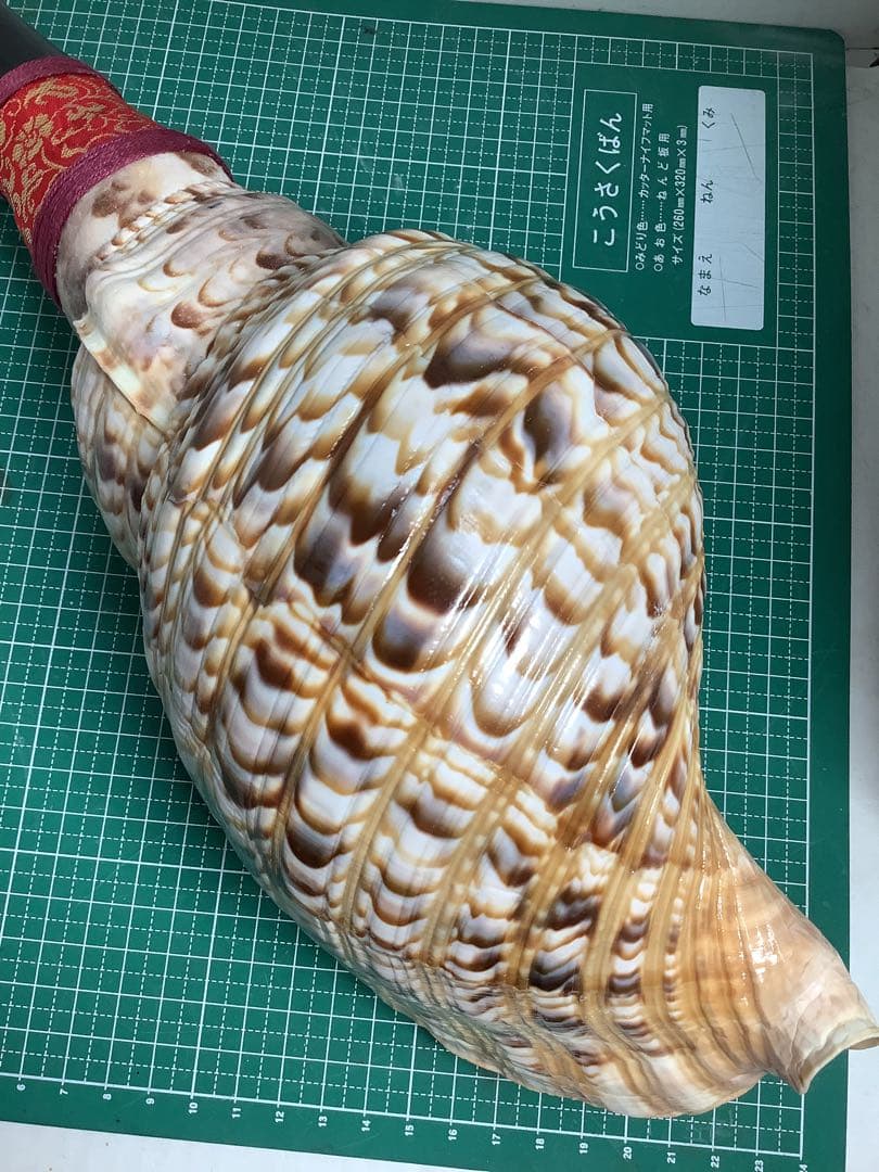 ヤフメリ9・法螺貝・山伏・修験者・羽黒山・金峯山・戦国武将・縁起物・魔除・熊除笛