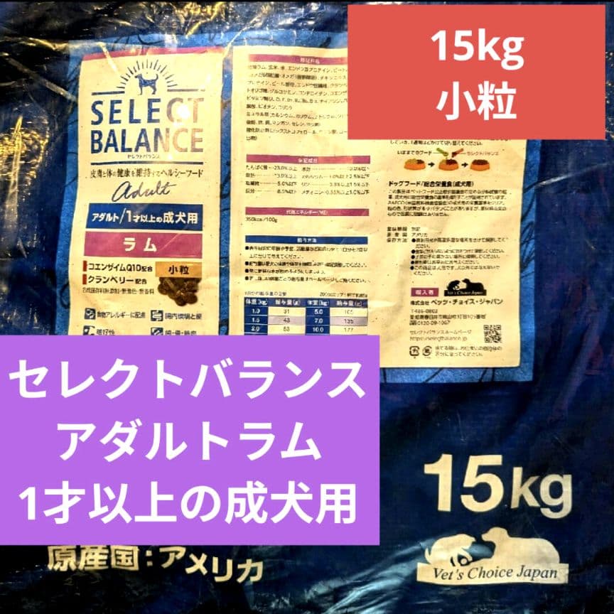 8匹わんこの大家族