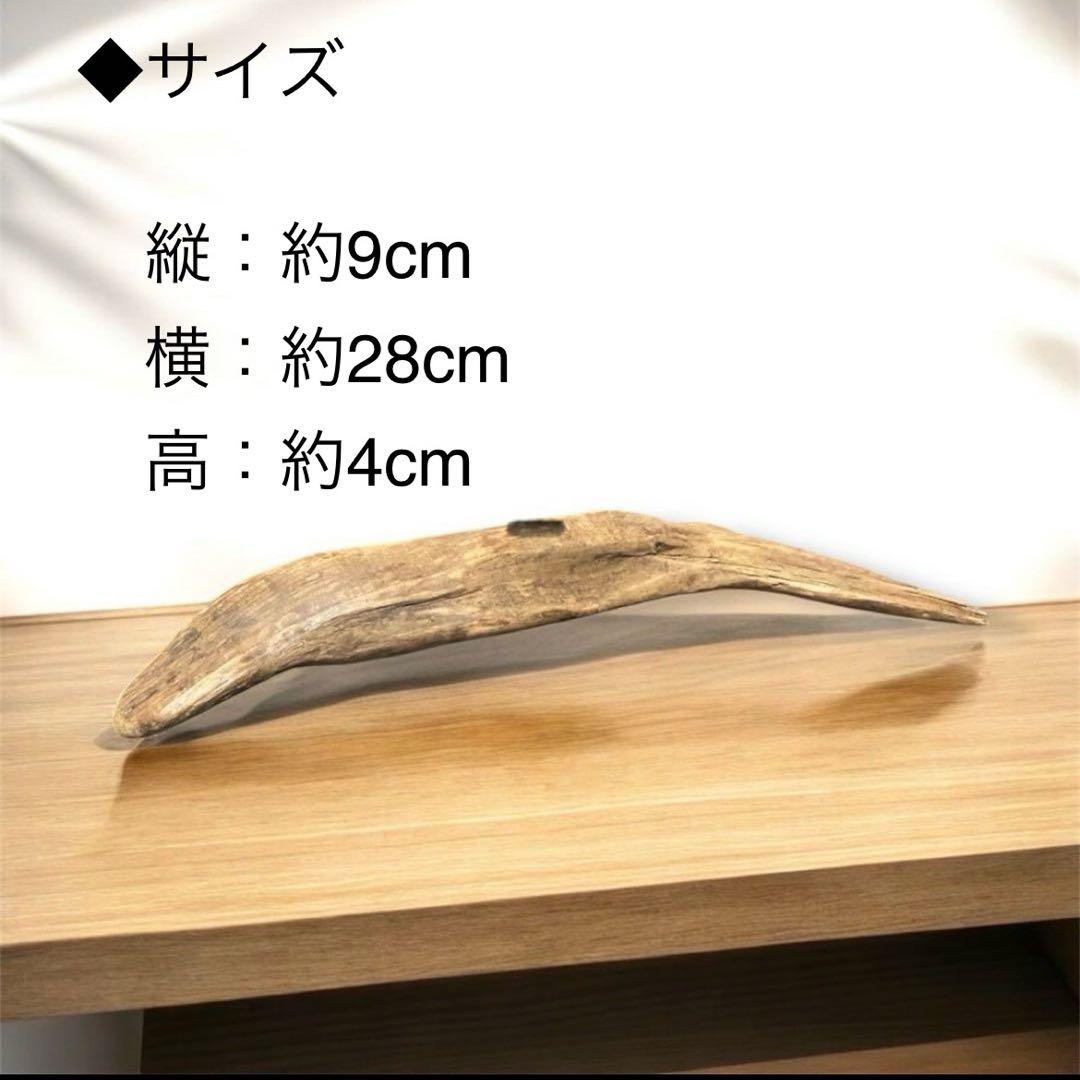 水槽 大きい流木 5点セット⚫︎アクアリウム イモリウム 天然流木 レイアウト