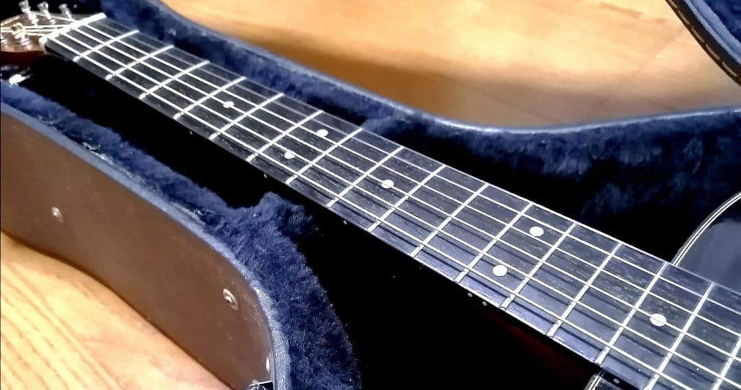 ★限定特価★コンパクトで弾きやすい★MORRIS F12-TS★トップ単板♪