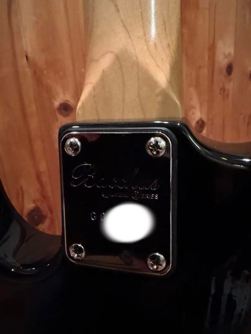 Bacchus BASS WOODLINE WL-001 ターボスイッチ搭載